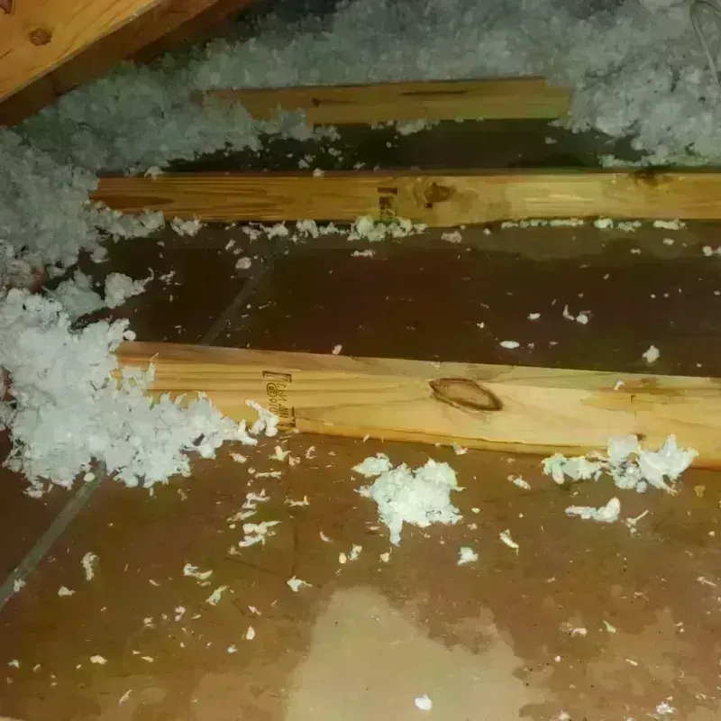 Attic Water Damage in Bowie County, TX