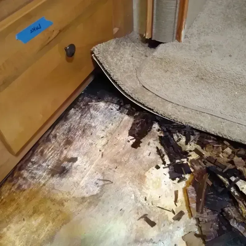 Wood Floor Water Damage in Bowie County, TX